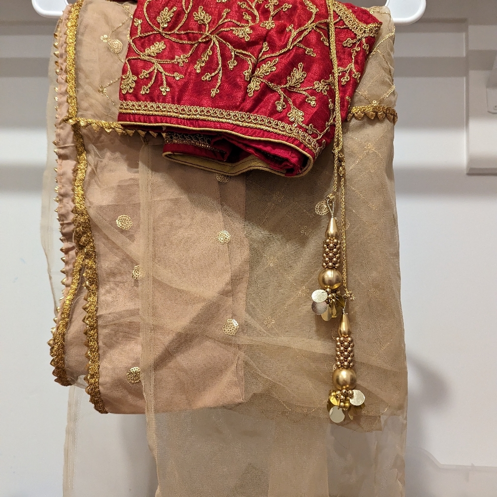 Golden netted saree with blouse for wedding season